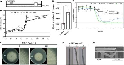 <mark class="highlighted">Allyl Isothiocyanate (AITC)</mark> Triggered Toxicity and FsYvc1 (a STRPC Family Member) Responded Sense in Fusarium solani